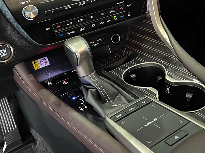 Lexus RX, 2022 — фото 12 из 12