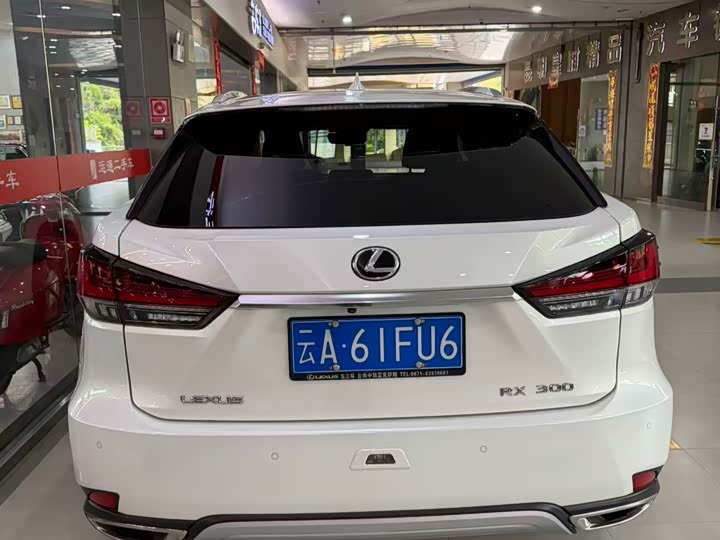 Lexus RX, 2021 — фото 4 из 9