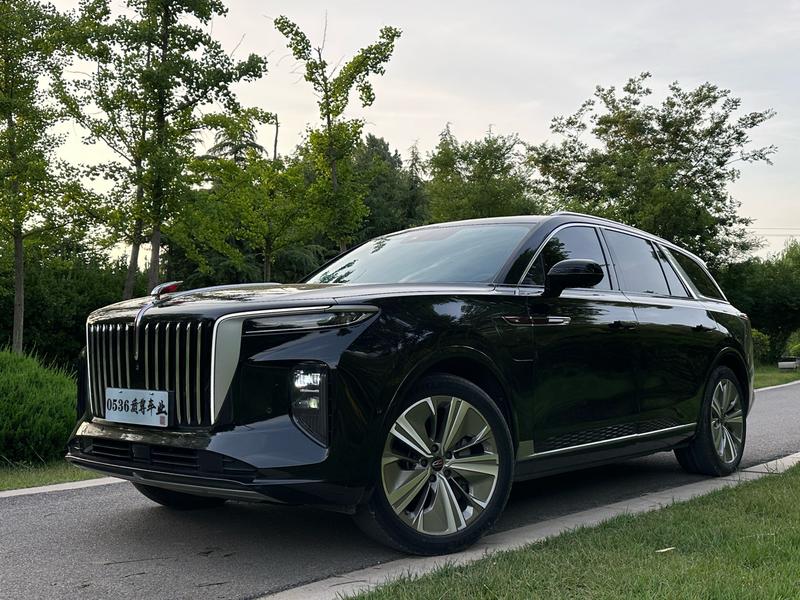 Hongqi E-HS9, 2023 — купить в Самаре под ключ