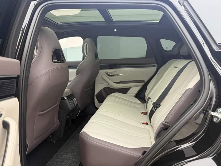 BYD Song Plus Hybrid/EV, 2024 — фото 7 из 9