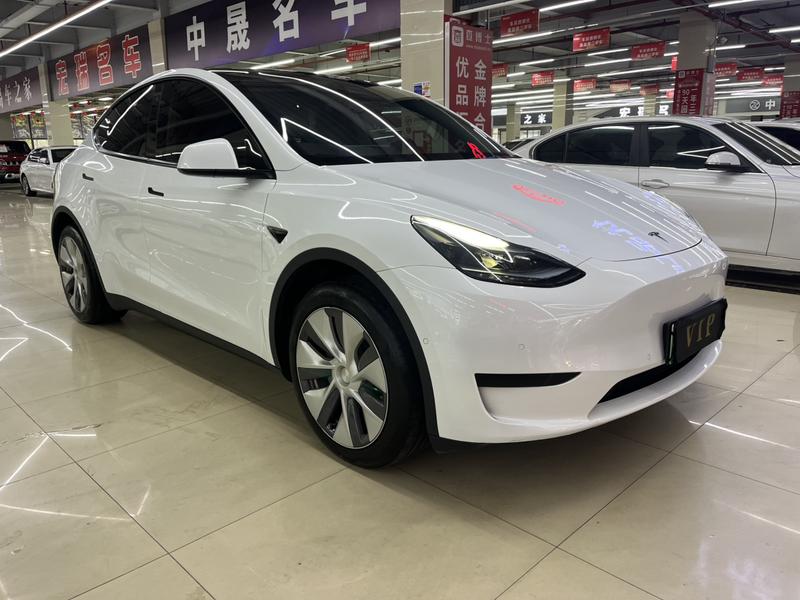 Tesla Model Y, 2023 — фото 3 из 12