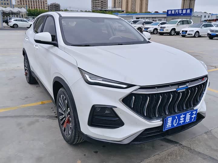 Changan Oshan X7, 2022 — фото 3 из 9