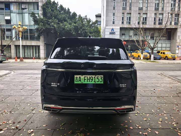 Hongqi HS7 Hybrid, 2024 — фото 7 из 9