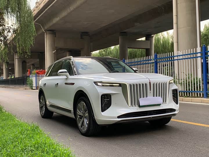 Hongqi E-HS9, 2023 — фото 3 из 9