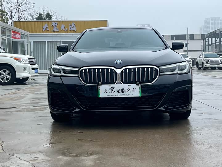 BMW 5 Series Hybrid, 2022 — фото 2 из 9