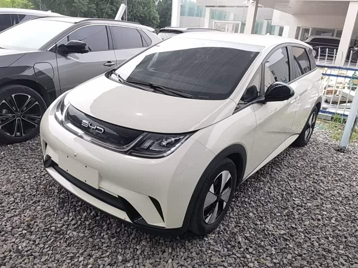 BYD Dolphin, 2023 — купить в Тольятти под ключ