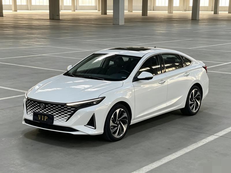 Changan Raeton Plus, 2022 — купить в Самаре под ключ