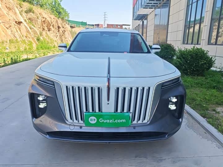 Hongqi E-HS9, 2023 — фото 3 из 9