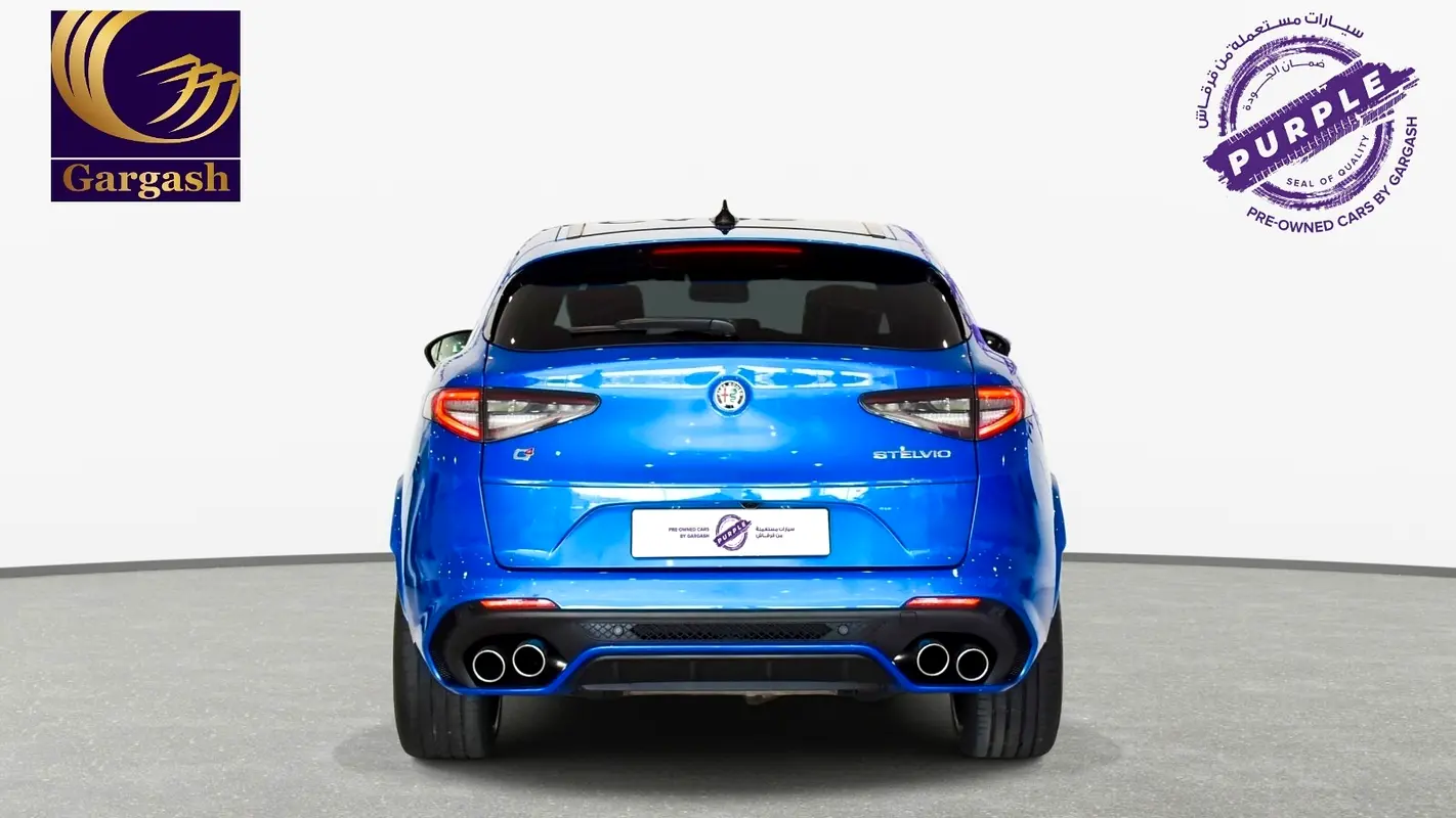 Alfa Romeo Stelvio, 2023 — фото 5 из 10