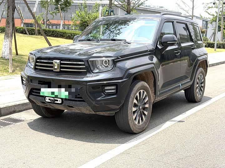 Tank 700 Hybrid, 2024 — купить в Калуге под ключ