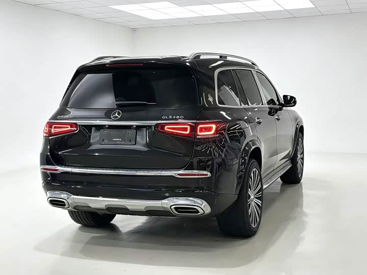 Mercedes-Benz Maybach GLS, 2022 — фото 5 из 9