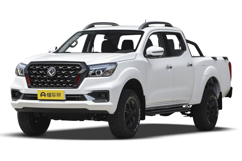 Dongfeng Rich 6, 2022 — фото 10 из 10