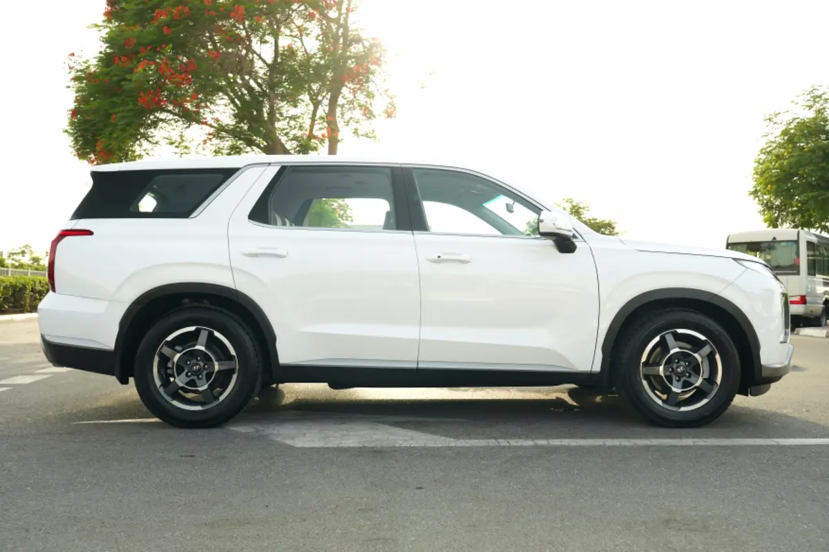 Hyundai Palisade, 2023 — фото 4 из 10