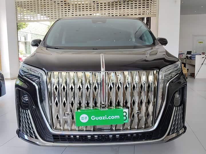 Hongqi HQ9 Hybrid, 2024 — фото 3 из 9