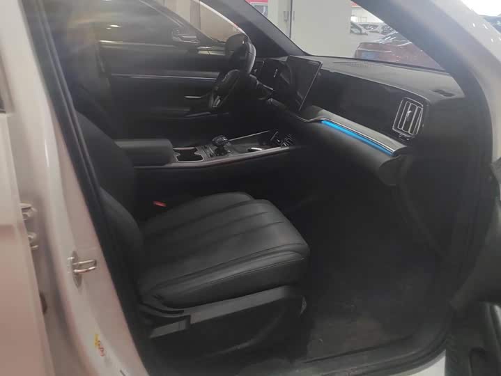 BYD Song Pro Hybrid, 2025 — фото 8 из 9