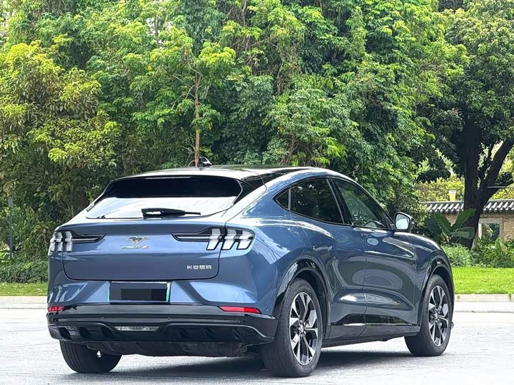 Ford Mustang Mach-E, 2022 — фото 7 из 9