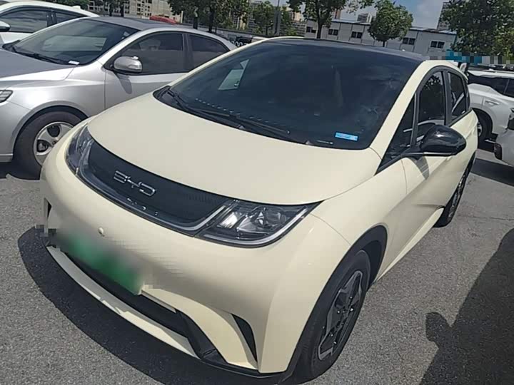 BYD Dolphin, 2022 — купить в Иванове под ключ