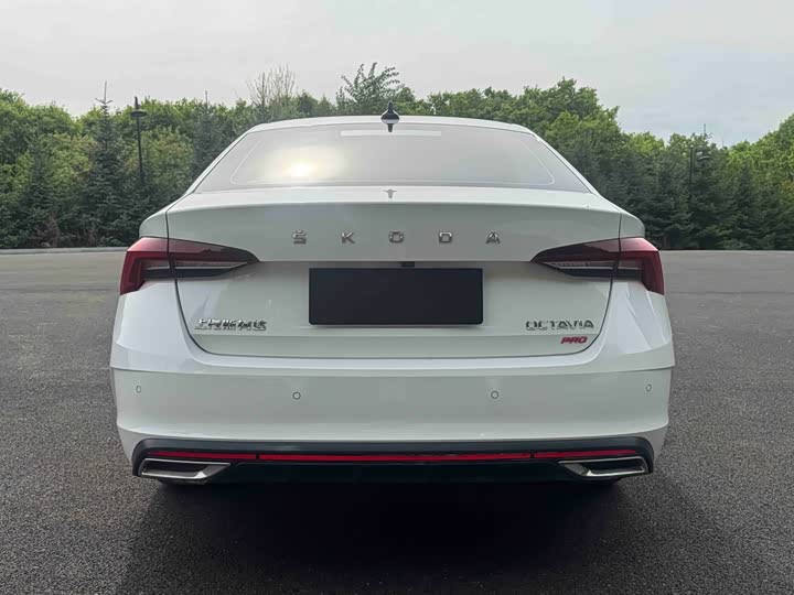 Skoda Octavia Pro, 2023 — фото 5 из 9