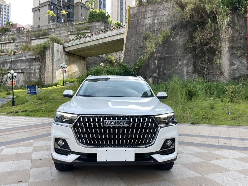 Haval H6, 2021 — фото 2 из 11