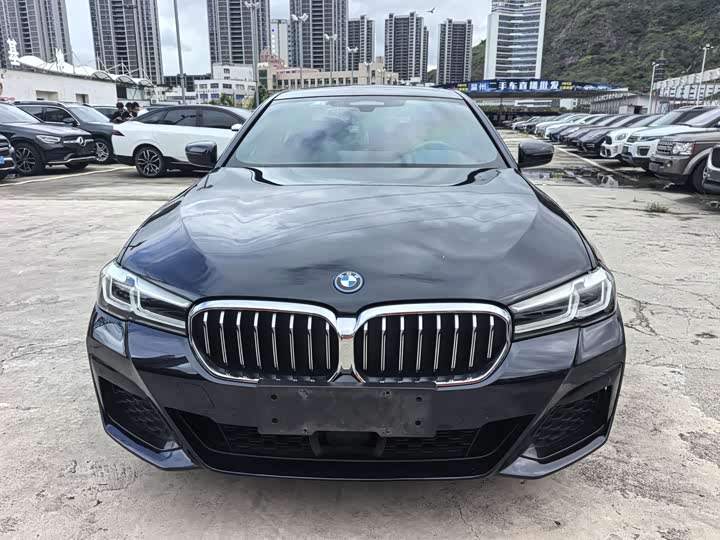 BMW 5 Series Hybrid, 2022 — фото 2 из 9