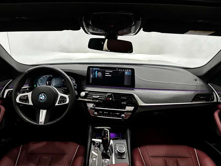 BMW 5 Series Hybrid, 2022 — фото 8 из 9