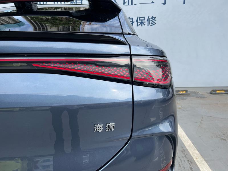 BYD Sea Lion 07 EV, 2024 — фото 7 из 12