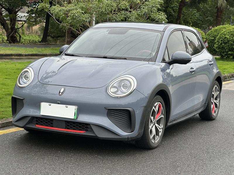 Ora Good Cat GT (03 GT), 2021 — купить в Самаре под ключ