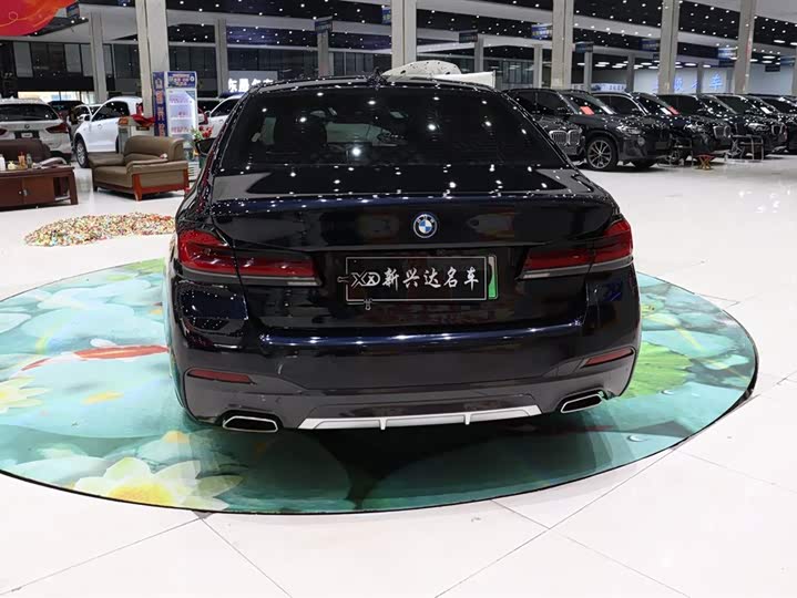 BMW 5 Series Hybrid, 2022 — фото 5 из 9