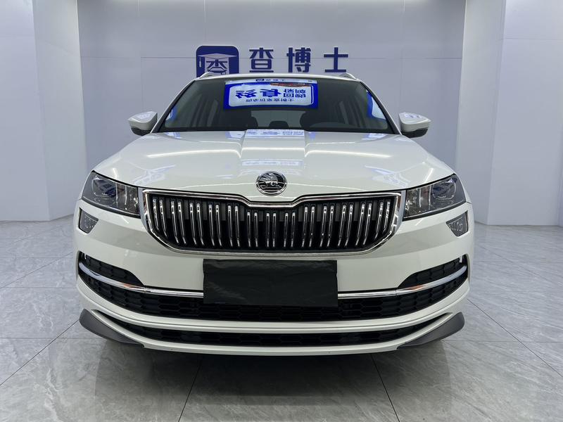 Skoda Karoq, 2024 — фото 2 из 12