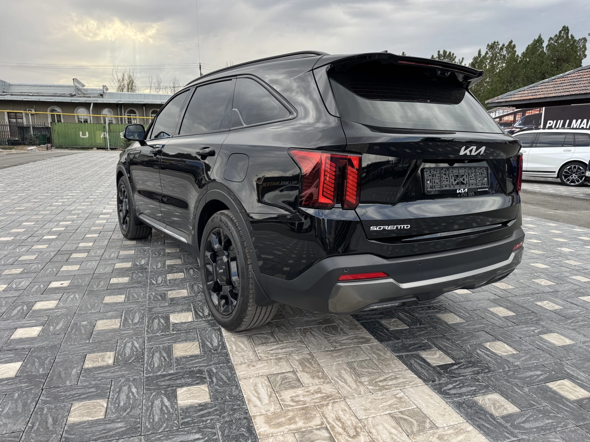 Kia Sorento, 2024 — фото 6 из 12