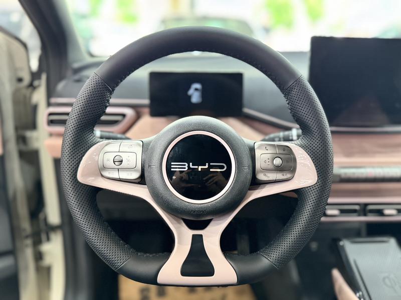 BYD Seagull, 2023 — фото 10 из 12