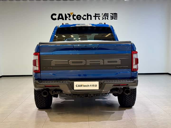 Ford F-150 Raptor, 2023 — фото 6 из 9