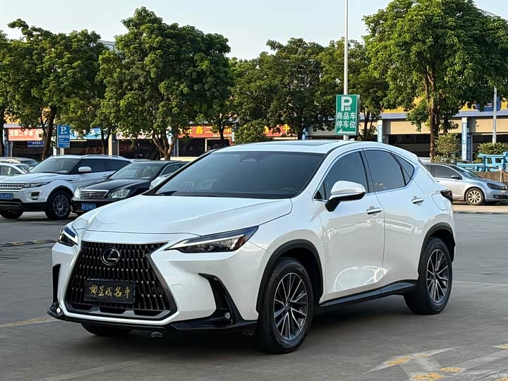 Lexus NX, 2024 — купить в Чебоксарах под ключ