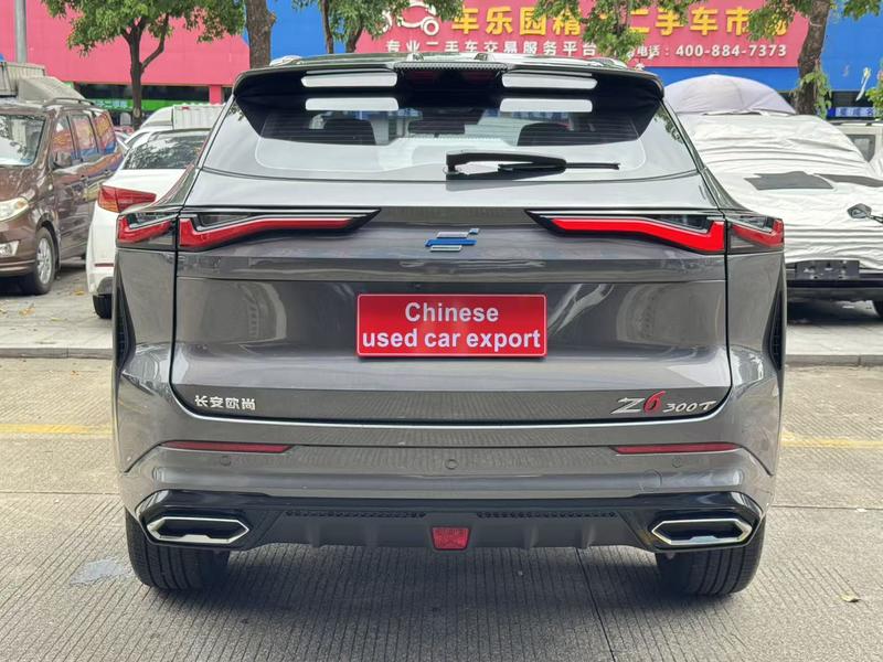 Changan Oshan Z6, 2023 — фото 6 из 12