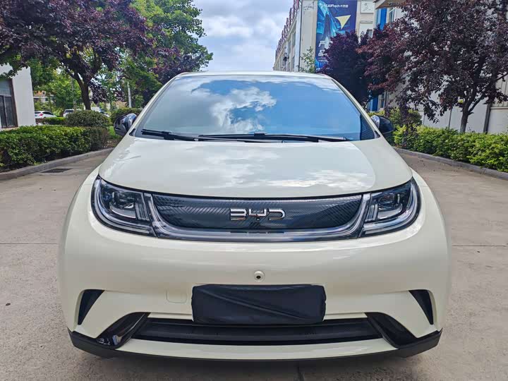 BYD Dolphin, 2026 — фото 2 из 9