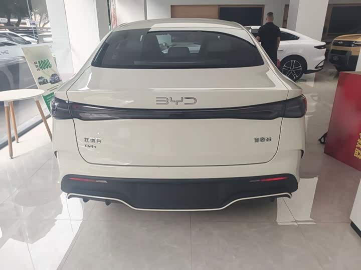 BYD Seal 06 Hybrid/EV, 2024 — фото 6 из 9