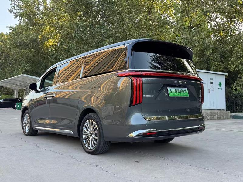 Wey 80 Hybrid, 2025 — фото 4 из 11
