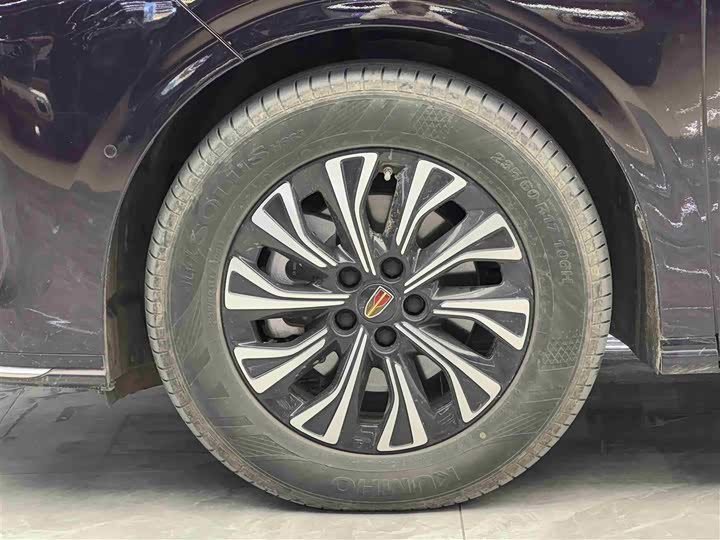 Hongqi HQ9 Hybrid, 2024 — фото 4 из 9