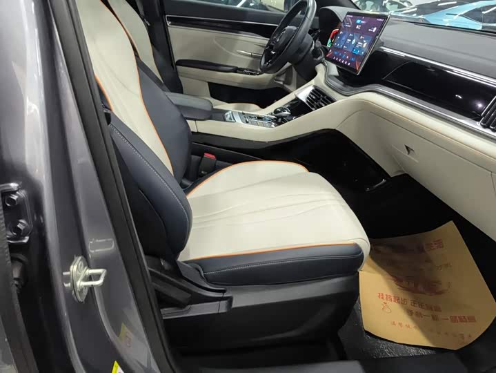 BYD Song Plus Hybrid/EV, 2022 — фото 8 из 9