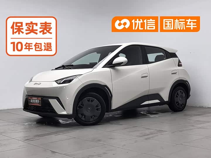 BYD Seagull, 2024 — купить в Смоленске под ключ
