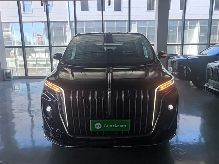 Hongqi HQ9 Hybrid, 2024 — фото 3 из 9