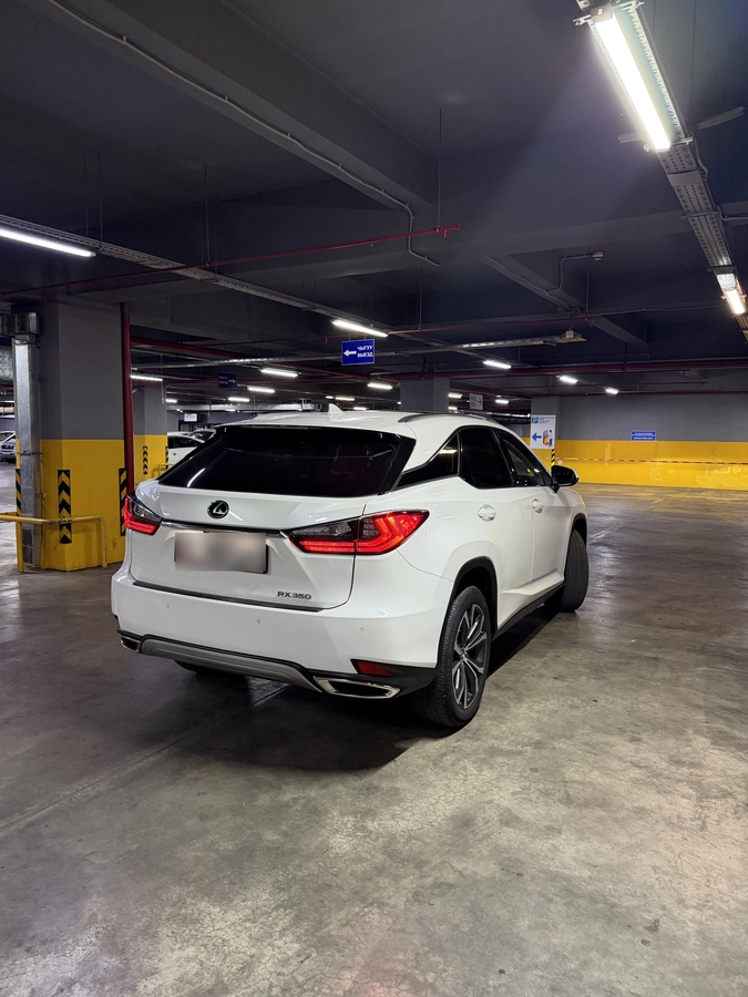 Lexus RX, 2022 — фото 2 из 9