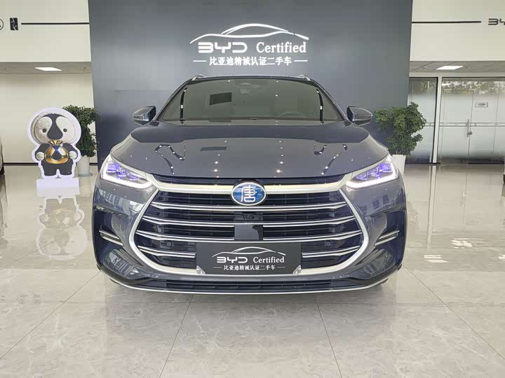 BYD Tang Hybrid/EV, 2021 — фото 2 из 9
