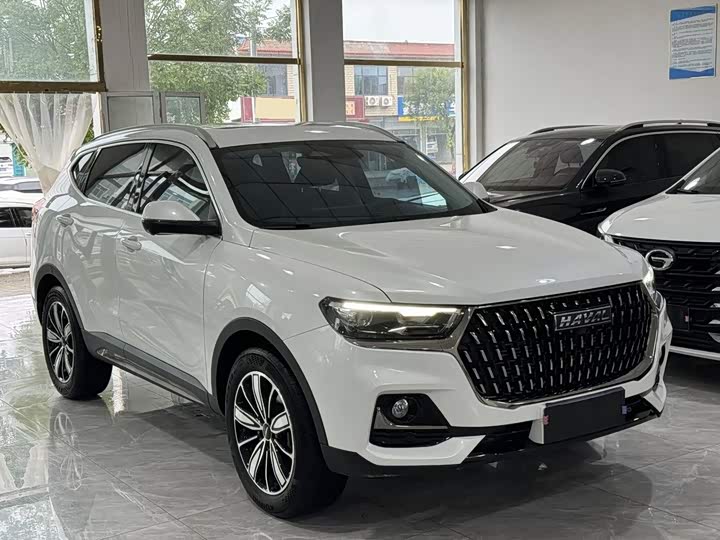 Haval H6, 2023 — фото 3 из 9