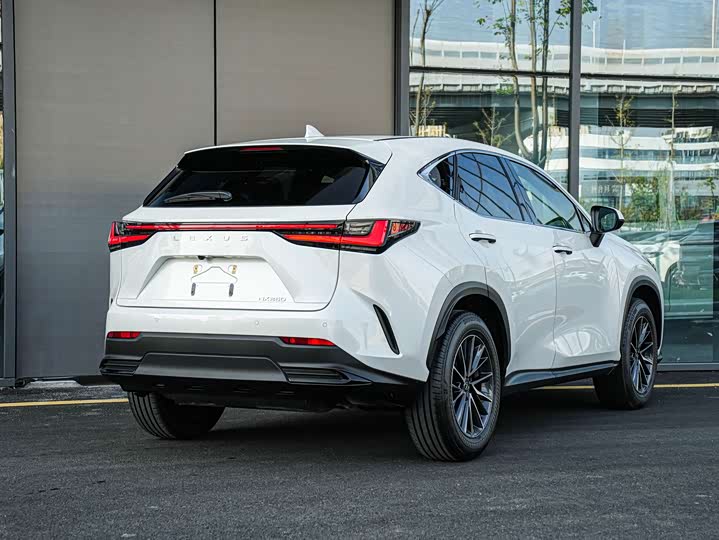 Lexus NX, 2023 — фото 4 из 9