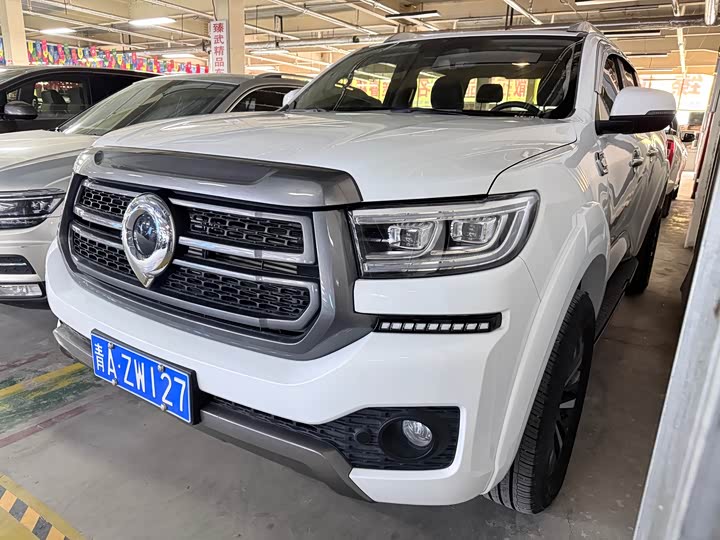 Great Wall Pao, 2024 — купить в Санкт-Петербурге под ключ