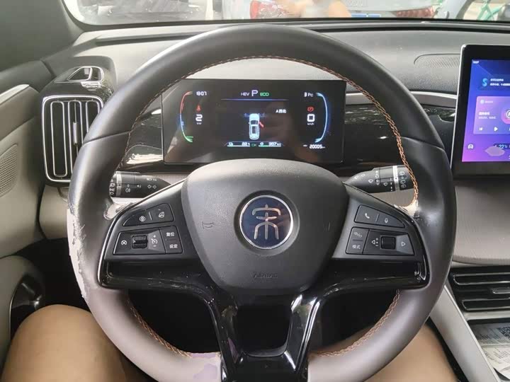 BYD Song Pro Hybrid, 2023 — фото 6 из 9