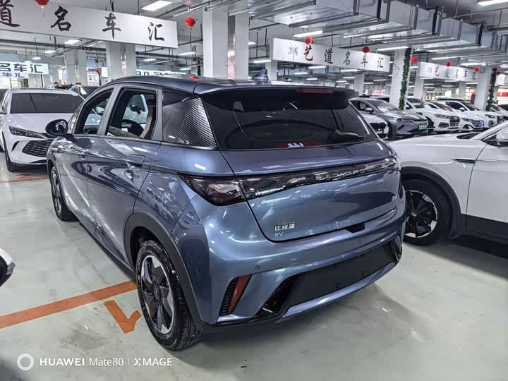 BYD Dolphin, 2025 — фото 6 из 9