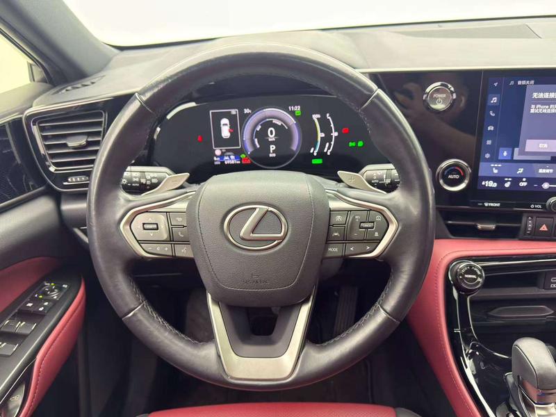 Lexus NX Hybrid, 2021 — фото 9 из 12