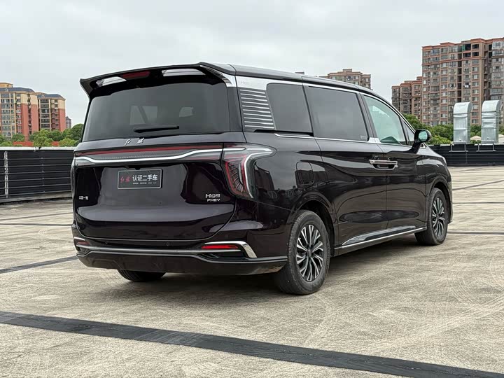 Hongqi HQ9 Hybrid, 2024 — фото 4 из 9
